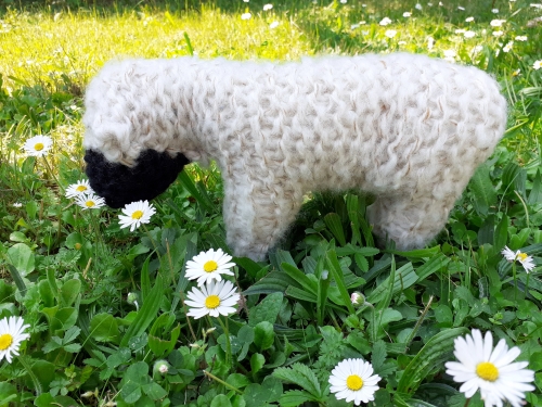 Doudou, doudou en tricot,doudou mouton,mouton en tricot,pinterest,laine carlfil